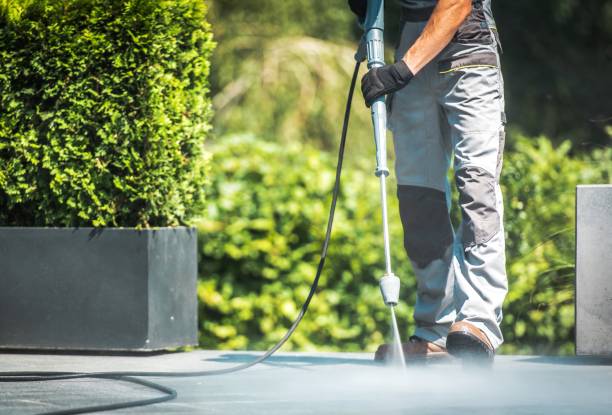 Best Driveway Pressure Washing  in Pontotoc, MS